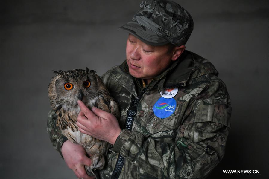 Shuanglong, a man of Mongolian ethnic group, takes an eagle owl for training before releasing it into the wild at the storeroom of his home in New Barag Right Banner of the Hulun Buir City, north China\'s Inner Mongolia Autonomous Region, April 13, 2019. Shuanglong, a volunteer born in the 1980s, has been dedicated to protecting wildlife inhabiting along the Hulun Lake over the past ten years. Over 40 endangered animals have been saved through his efforts. Shuanglong has organized various activities including photo exhibitions and lectures, as a way to raise awareness of wildlife protection among the public. Affected by Shuanglong, some volunteers also joined him to protect wildlife along the Hulun Lake. (Xinhua/Peng Yuan)