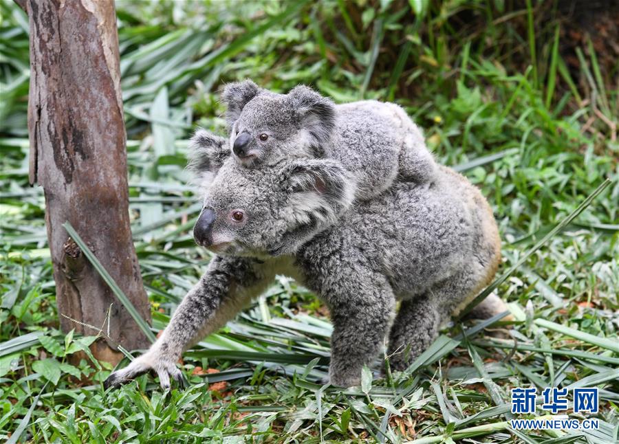 ����ᣩ��7�������ڹ����γ��������Ⱥ