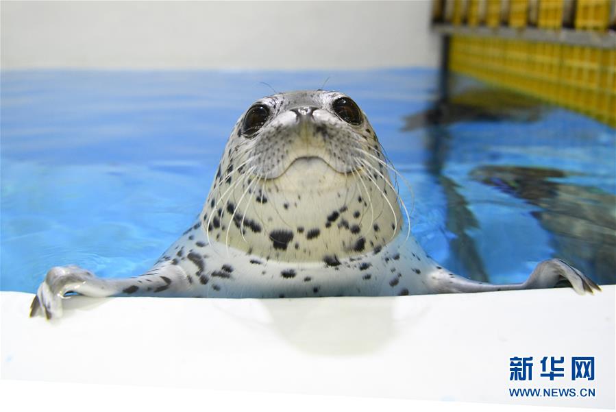 ��ͼ�Ļ�������5�����������عݡ������׶�԰����԰