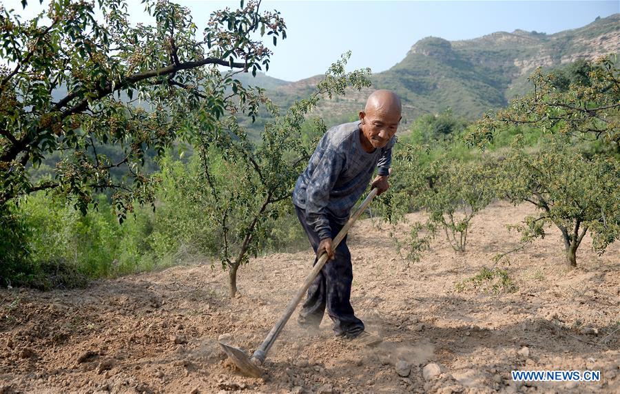 Xinhua Headlines: China's iconic revolutionary base Yan'an bids farewell to poverty