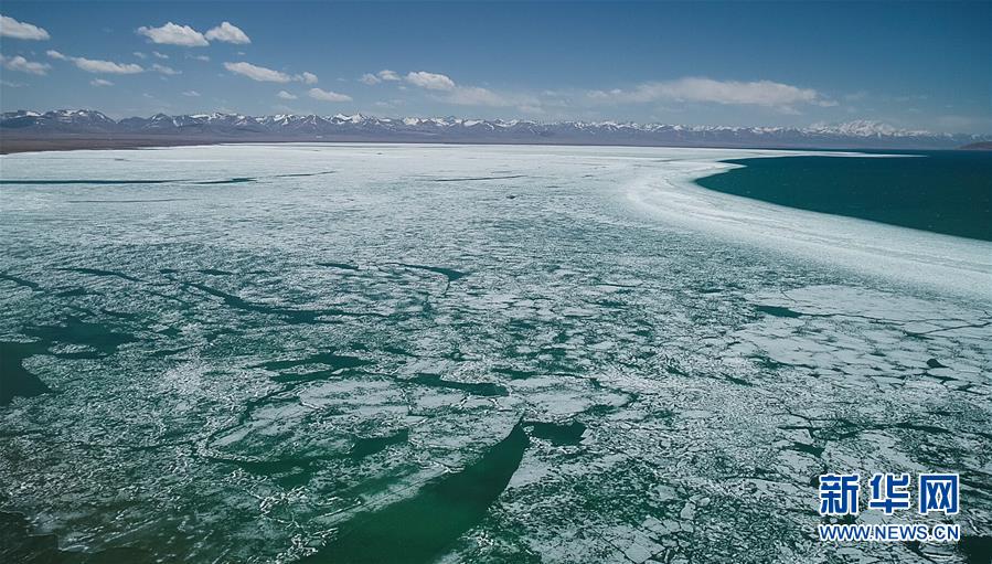 �������й�����1�����أ���ľ������