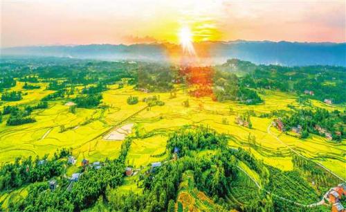 双桂田园景区,中华梁平柚海,城北稻田湿地……千百年来,梁平坝子的