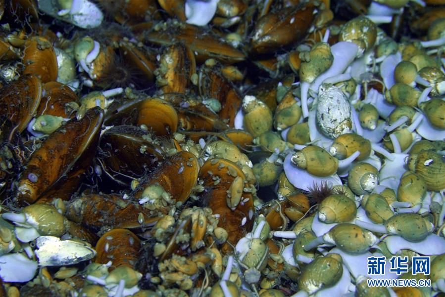 （科技）（3）“海洋六號”科考船完成深海探測共享航次任務