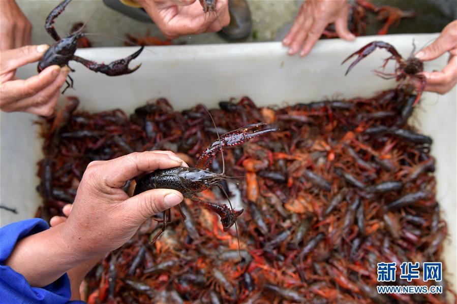 ���߻��㡤����������3�������ϲ����ʻ�С��Ϻ ������ũ��