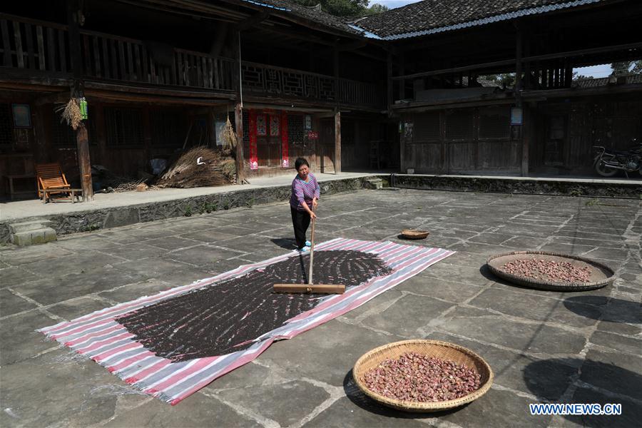 #CHINA-CHONGQING-TUJIA-VILLAGE(CN)