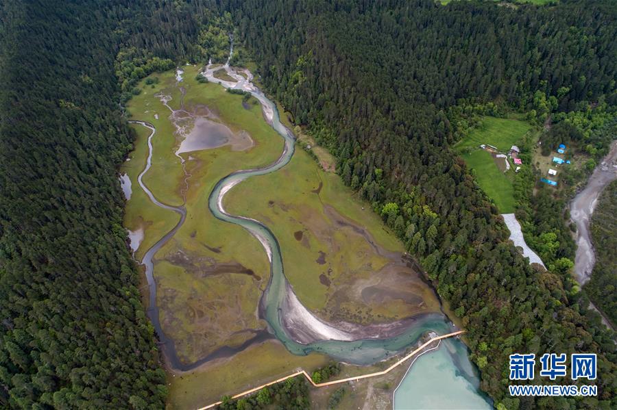 ����������6��������Ȼ����������̬������õĵ���֮һ