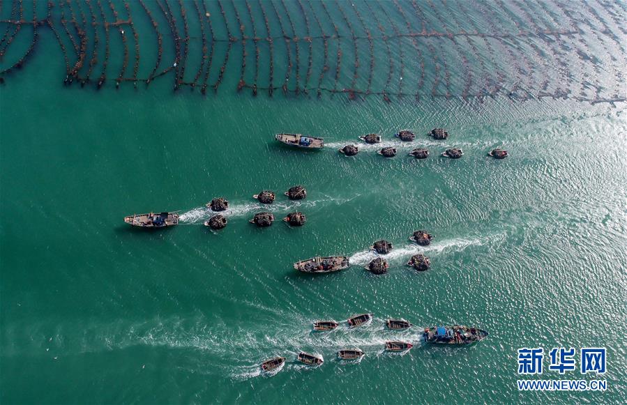 #�����ã���1�����ϡ����ա�æ