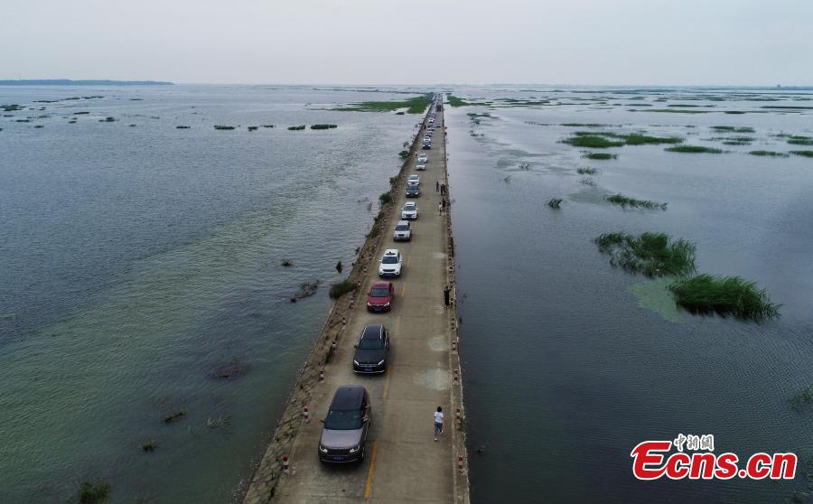 Photo taken on June 16, 2019 shows the submerged Dahuchi section of Yongxiu-Wucheng Road in East China\'s Jiangxi province. Continuous rain in Jiangxi has led to a rise of water level of the Poyang Lake, China\'s largest freshwater lake. The Dahuchi section of Yongxiu-Wucheng Road was submerged in water. (Photo: China News Service/Mao Jiajia)