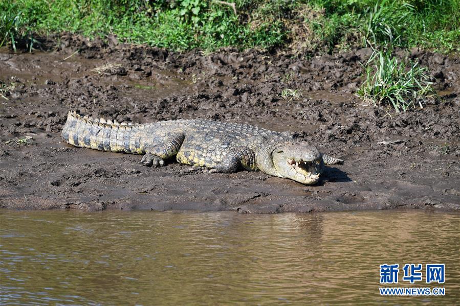 �����ʣ���9�������������������ұ�������Ӱ