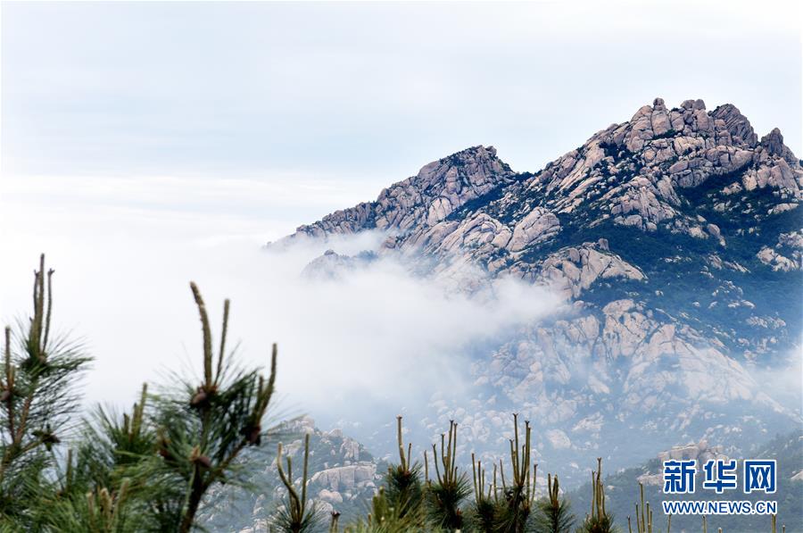 ��������԰�ᣩ��8����̬�й��������³������