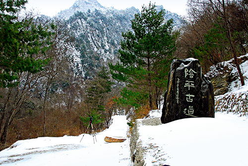 广元·阴平古道