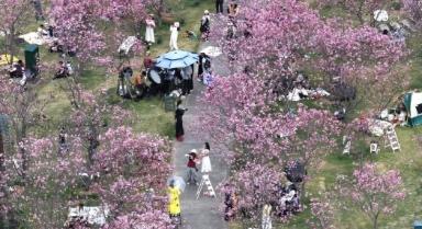 春光明媚赏花时