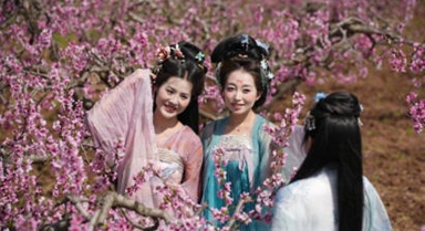 西安长安:踏春赏花正当时