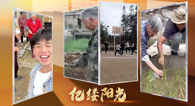 亿缕阳光·乡见|向往的生活