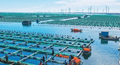 科技兴海，以养兴渔