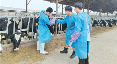 科技小院飘奶香