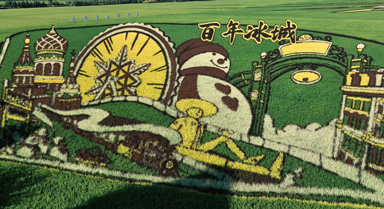 北大荒闫家岗农场:不止种地