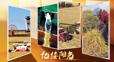 亿缕阳光·乡见|粒粒皆山河