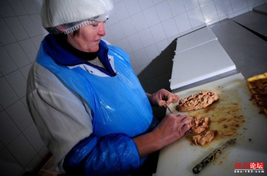 组图:揭秘顶级美味鹅肝残忍的生产过程