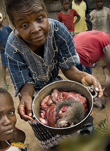 刚果人的恐怖盛宴:大锅炖猴子【组图】