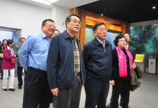 中国侨联主席林军到广东江门调研考察