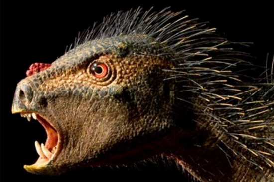 美国《时代周刊》评选2012年度十大新物种(图)【3】