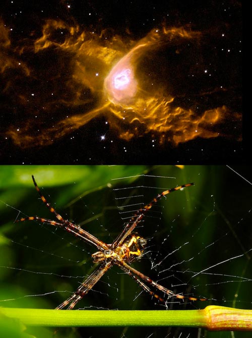 盘点形态似动物的奇特星云:猫眼星云神秘难测