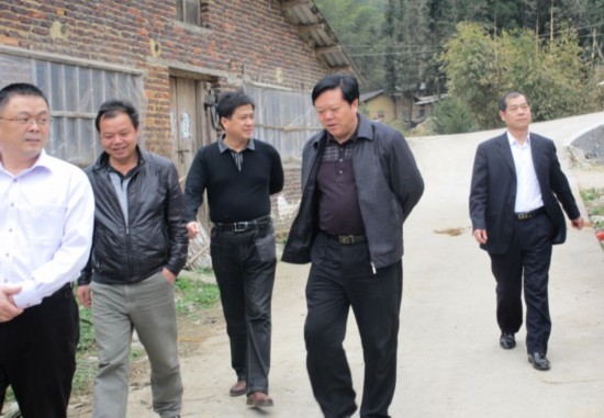 新罗区长廖德槐一行到红坊镇调研