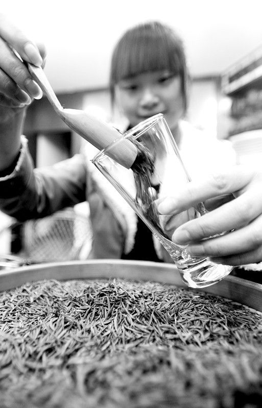 名茶贴牌成公开秘密 行家买茶最看重产地(图)