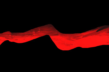 半月谈红线生存进逼中国敲响发展警钟