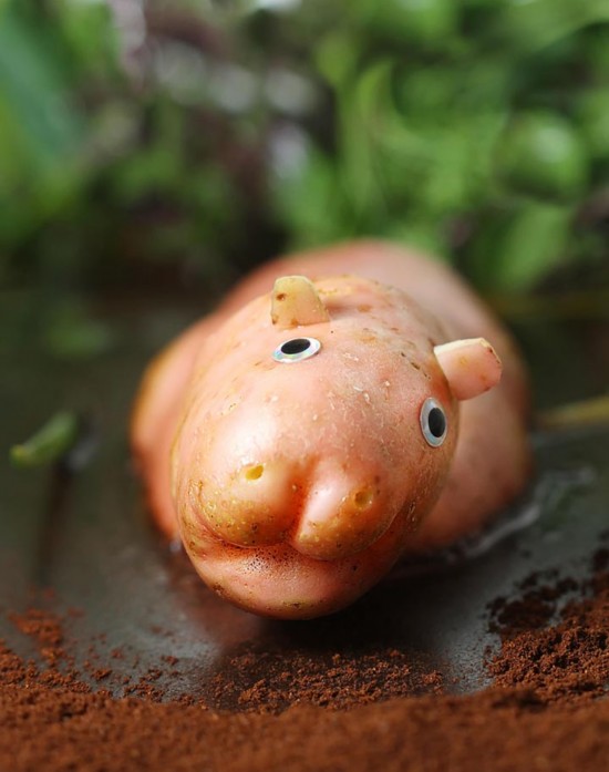 摄影师将食物变身俏皮小动物图10