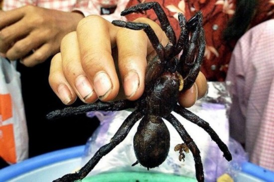 油炸蜘蛛这样生猛的小吃,恐怕只有柬埔寨人才享受得了