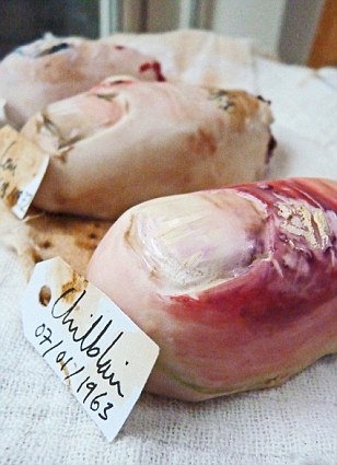 真菌脚趾饼干 英国蛋糕店推出怪异恶心蛋糕【2】