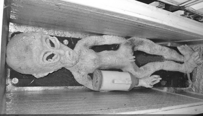 电死外星人?山东滨州男子涉嫌虚构事实被拘留5天