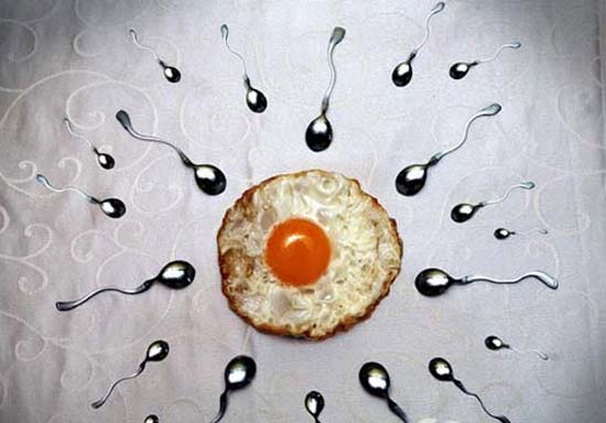 零风险!小精子数量少"春回大地"-第1张图片-天光博客