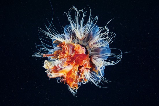 风光摄影:海生【15】