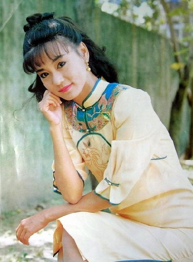 电视剧《婉君》里大婉君的扮演者是谁?是刘雪华吗?
