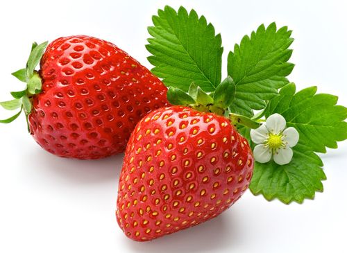 >> 文章内容 >> 春季五种不够新鲜和营养的水果要少吃 春季里常吃的5