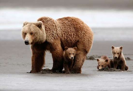 四川文联原主席郭永祥被双开:为子谋利道德败坏 贵州黔西南州副州长