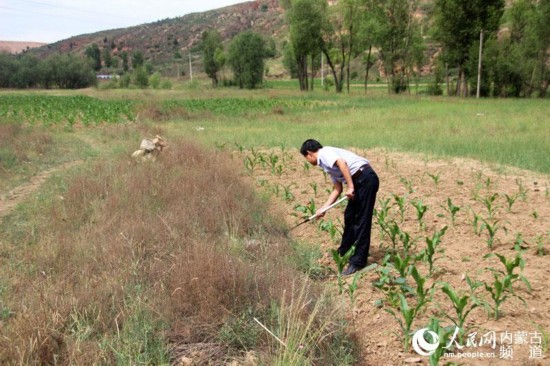 行行有党员:与农民同吃同住同劳动的驻村干部【5】--群众路线网-人民