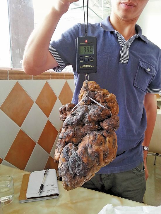 男子游玩捡到疑似"龙涎香" 国内难找鉴定人