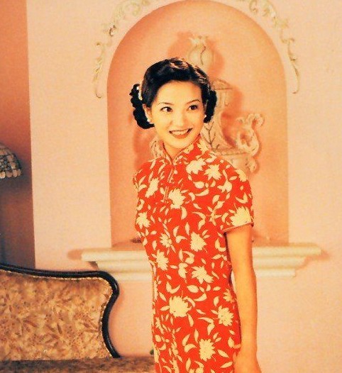 揭赵薇苏有朋《老房有喜》演员现状 小海燕长大亭亭玉立【4】