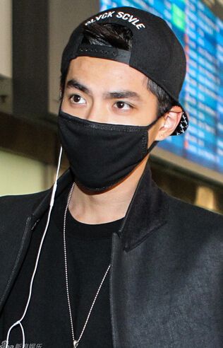 exo前成员吴亦凡解约后回国 戴口罩现身被粉丝拥堵(组图)【19】