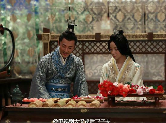 王珞丹《卫子夫》14-16集 电视剧全集1-47集分集剧情介绍大结局【19】