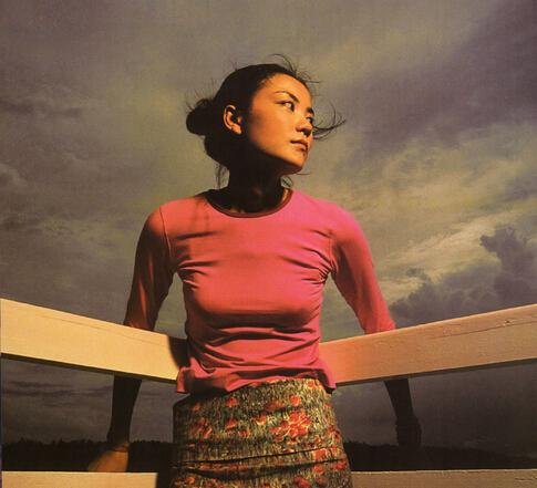 天后王菲整形路为了爱情也蛮拼的7