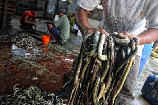 资阳gdp惨不忍睹_资阳夜景