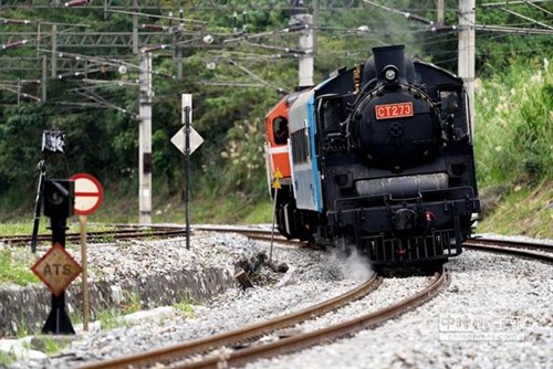 台铁推怀旧旅游行程 蒸汽火车重现江湖(图)