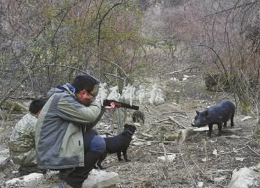 京山狩猎场图片