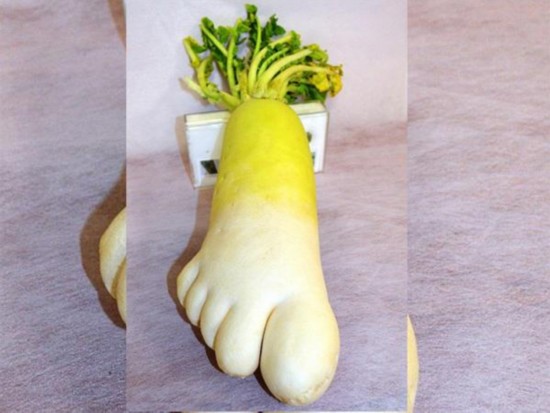 日本农民挖出人脚形萝卜(图)