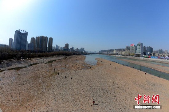 水位下降黄河露底市民河心滩捡石头3